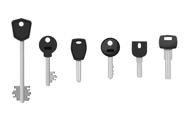 Vector illustration of keys on a white background close-up   - -