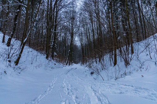 Beautiful winter landscape of mountain trail full of fresh and white snow with high trees around