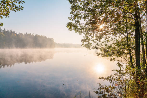 istock foggy lake sunruse landscape 1497495733