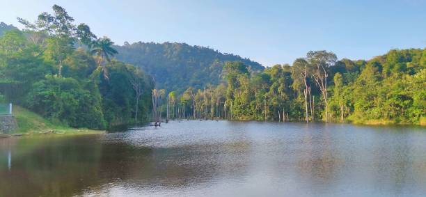 istock Nature pond with the green trees and blue sky 1497495947