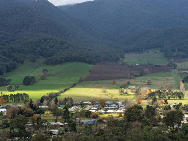 istock Rural neighbourhood 1497506864