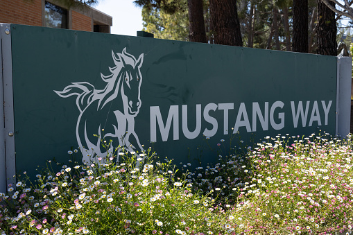 San Luis Obispo, CA - May 19 2023:  Mustang Way sign on the campus of California Polytechnic State University