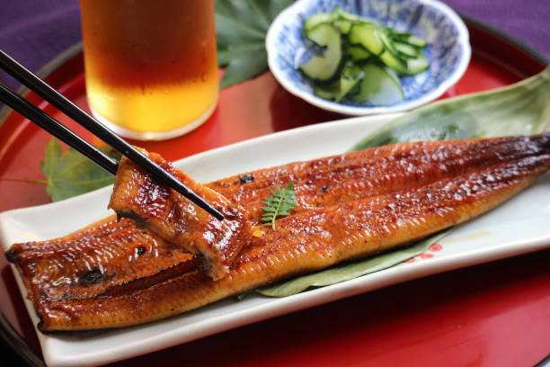 Eel grilled. Eel grilled. This is an expensive food that is often eaten in the summer. saltwater eel stock pictures, royalty-free photos & images