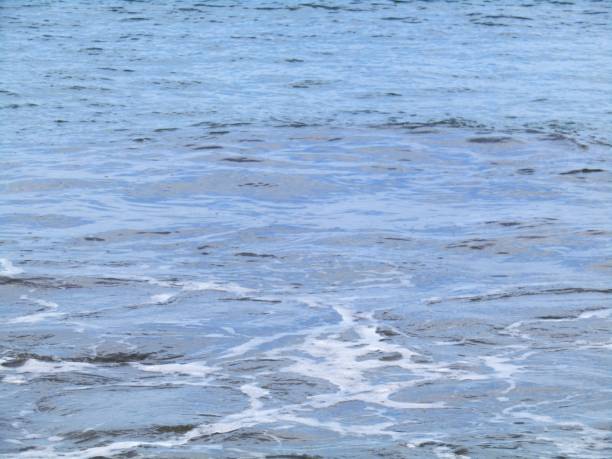 istock Japan. July. Seascape. 1497514012