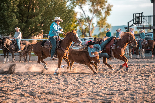 Cowboys are steer roping and riding a horse in rodeo arena in Utah, USA.