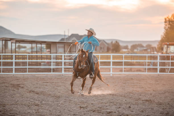 istock Cowboy Riding A Horse And Holding A Lasso 1497520056