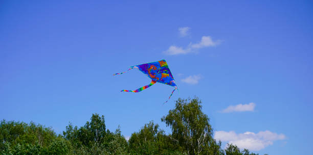 istock A kite flies in the blue sky 1497536268