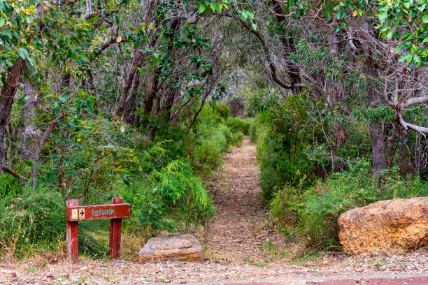istock Augusta is a small, attractive town surrounded by a rugged rocky coastline. 1497537564