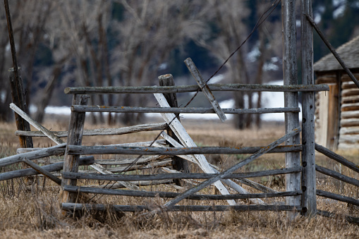 Old fence gate at log cabin of the wild west in the Yellowstone Ecosystem, western USA, North America. Nearest cities are Jackson, Wyoming, Denver, Colorado and Salt Lake City, Utah.
