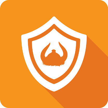 Vector illustration of a shield with viking helmet icon against an orange background in flat style.