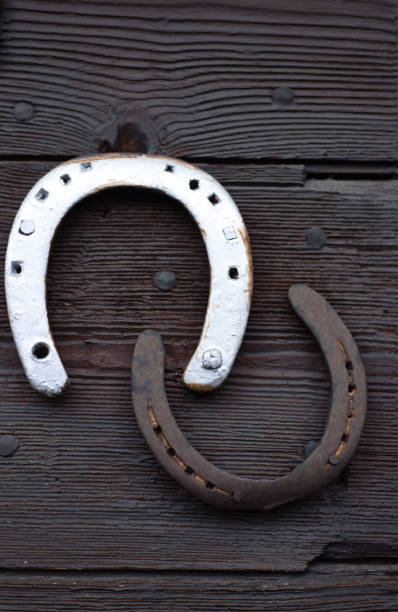 France: Horseshoes on Old Brown Wood Door