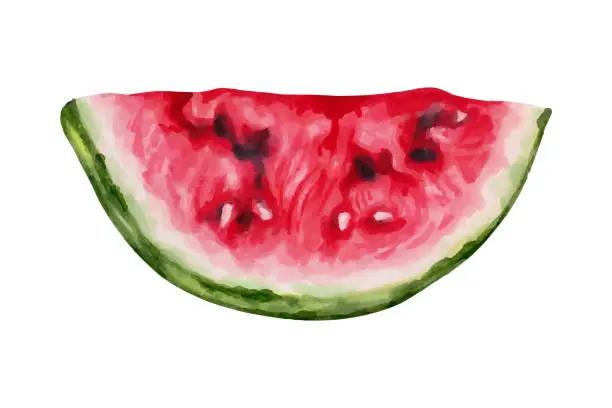 Vector illustration of A slice of watermelon. Front view. Red flesh with pits and hard skin. Healthy food for design.