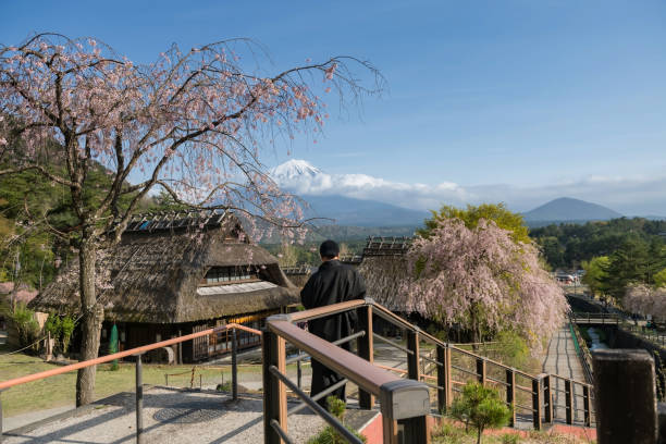 Japanese man in yukata at Saiko Iyashi no Sato Nenba with mt. Fuji Rear of Japanese man in black yukata dress at Saiko Iyashi no Sato Nenba with mt. Fuji and sakura, Yamanashi, Japan. Famous travel destination at spring. west lake stock pictures, royalty-free photos & images