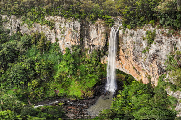 istock Aerial, drone view in Springbrook National Park, Queensland 1497553345