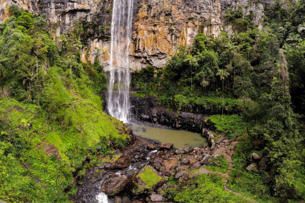 istock Aerial, drone view in Springbrook National Park, Queensland 1497553456