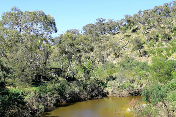 istock Lal Lal, Victoria, Australia 1497554266