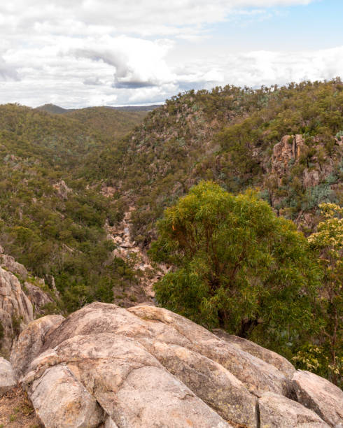 istock Natural Australian bush landscape in Queensland, Australia 1497554520