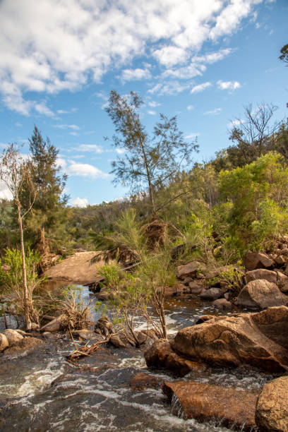 istock Natural Australian bush landscape in Queensland, Australia. 1497554811