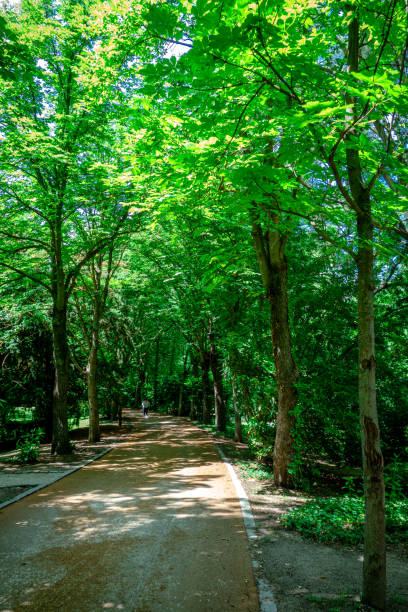 istock Madrid June 2023. Campo del Moro Gardens 1497565040