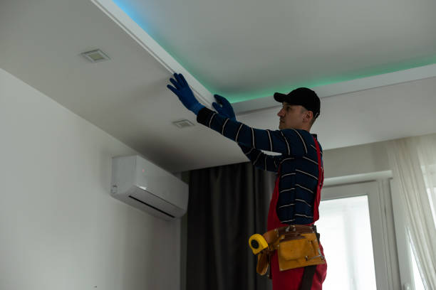 istock People renovating the house, working on repairs. 1497573237