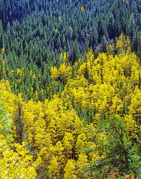 Autumn in Rocky Mountains National Park, Colorado
