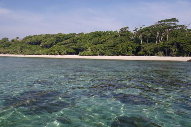 istock Andaman island landscapes 1497583447