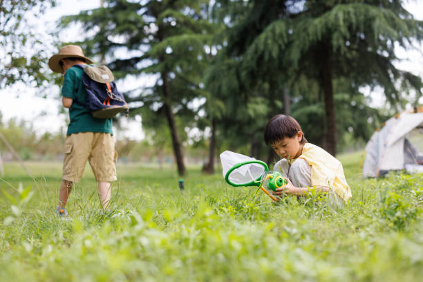 istock Two elementary school students are observing insects outdoors 1497584613