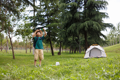 An Asian boy is observing the insects he catches