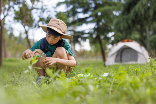 istock Asian boy is catching insects outdoors 1497584661