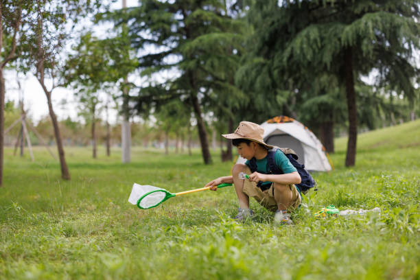 istock An Asian elementary school student catching insects outdoors 1497584671