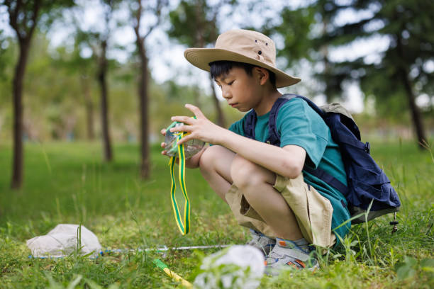 istock Asian elementary school student is observing insects outdoors 1497584689