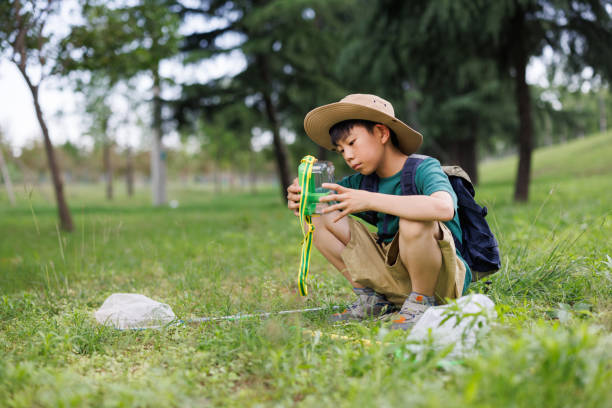 istock An Asian elementary school student is observing insects outdoors 1497584704