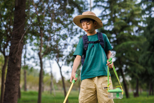 istock Asian boy is catching insects in the forest 1497584725