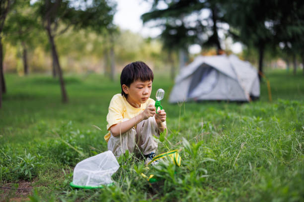 istock one asian little boy is observing a ladybug outdoors 1497584850