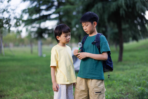 Brother observing insects outdoors