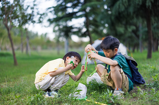two Asian elementary school student is observing insects
