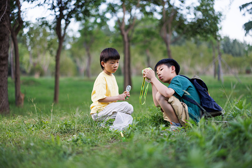 Two Asian boys catching insects outdoors