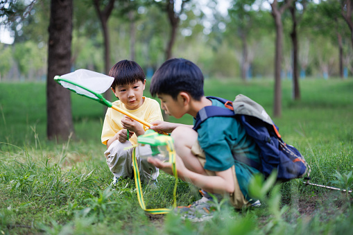 Two Asian elementary school students catching insects outdoors