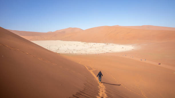 istock Tourist visiting Deadvlei on a sunny and windy day, Deadvlei, Sossusvlei, Namibia. 1497589802