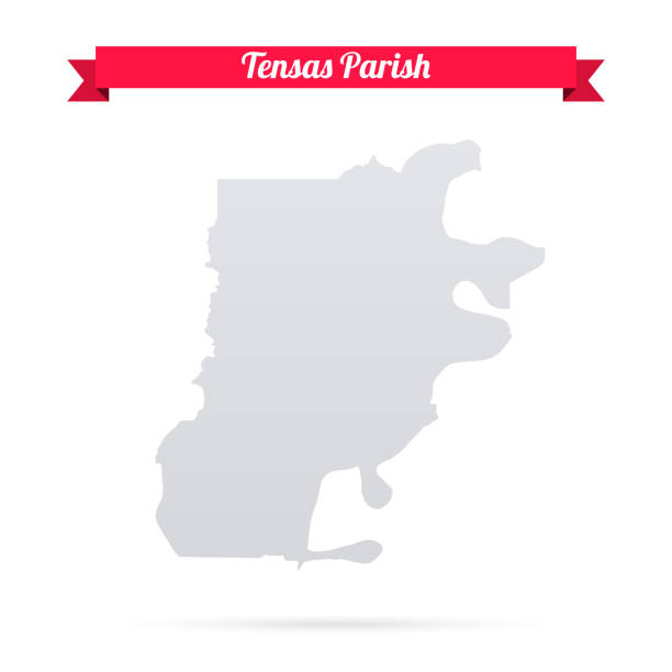 istock Tensas Parish, Louisiana. Map on white background with red banner 1497593901
