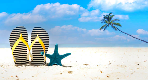istock The Summer Tropical beach with starfish and sandals as white sand beach scene background 1497600372