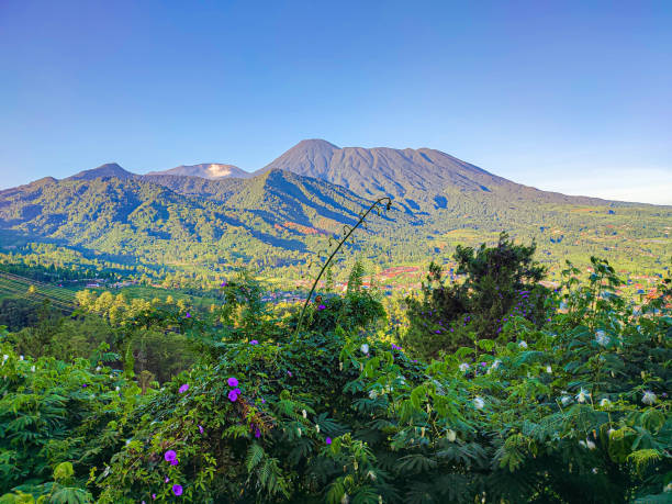 istock View of Mount Pangrango from the top of Bogor, West Java 1497600671
