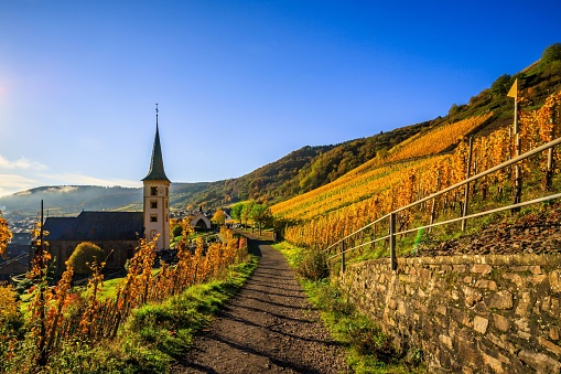 A scenic walkway winding through the majestic mountainscapes, with quaint rustic houses lining the path: sunrise on the Moselle, Bremm