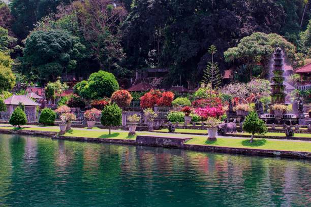 istock Water brings the garden to bloom 1497609136
