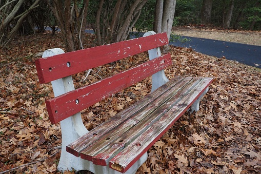 A rustic wooden bench nestled in the foliage of a roadside, surrounded by a blanket of autumn leaves