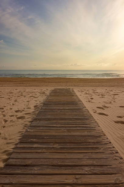 istock Walkway to the beach at sunrise 1497613642