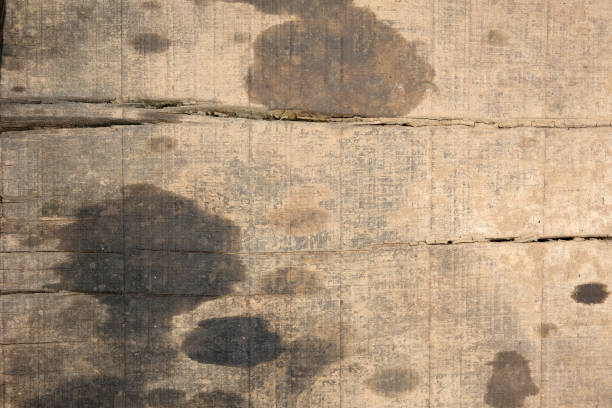 istock texture of wood 1497613861