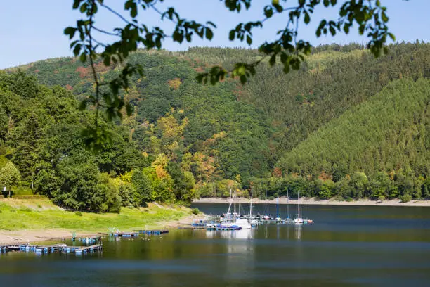A small Lake Rursee marina in Rurberg in the Eifel, Germany on a summer day with some branches in the foreground.