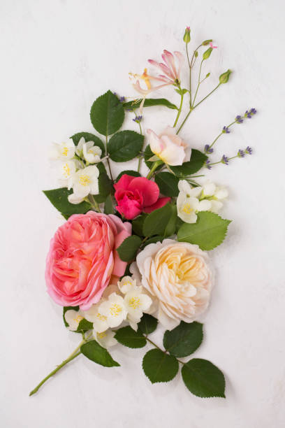 istock A composition of English roses on a light background 1497616307