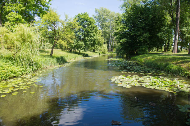 istock Water landscape on a sunny summer day 1497616434